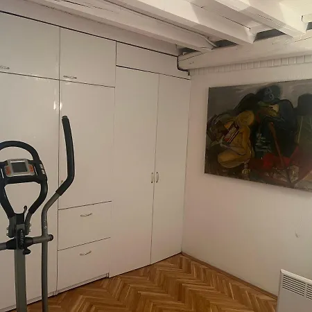 Srba Apartment Belgrade